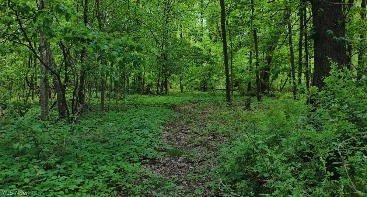 1235 Township Road 353 Property Photo 5