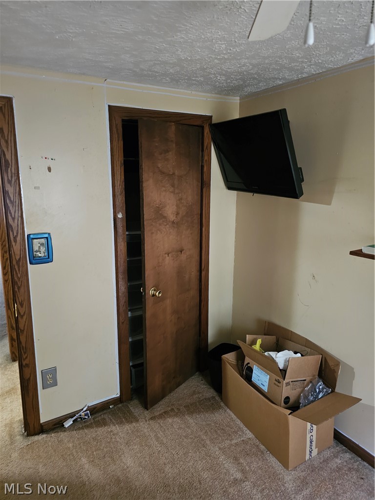 766 Garfield Street Property Photo 18