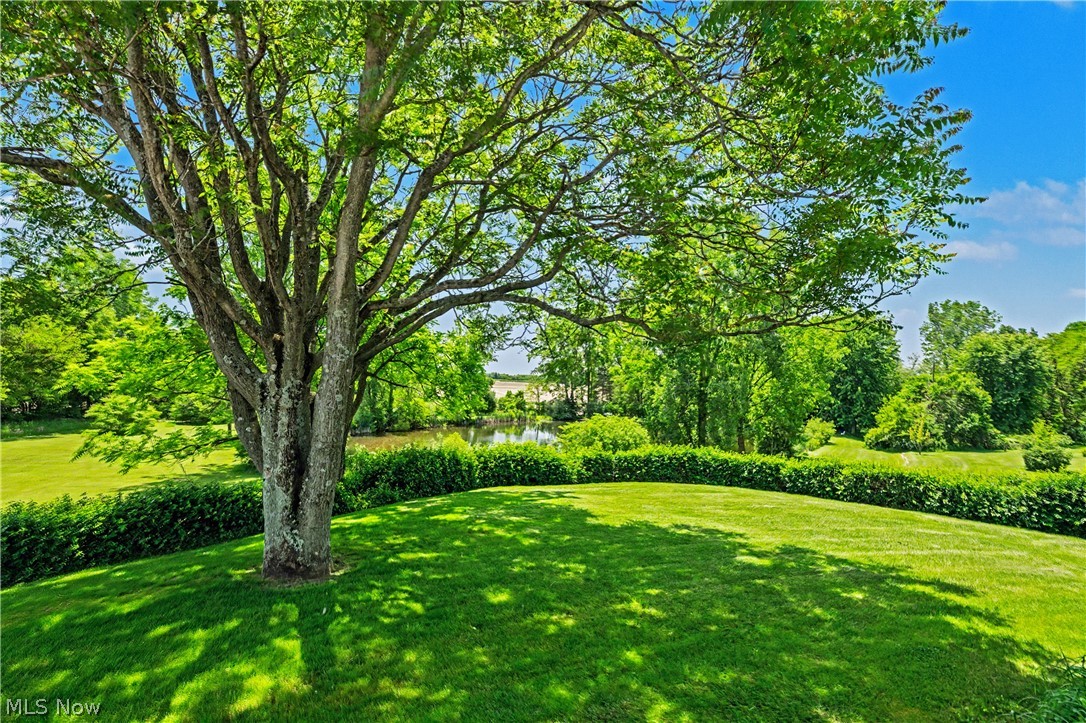 8110 Main Road Property Photo 41