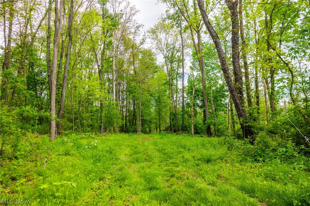 4686 Valley Road Property Photo 6