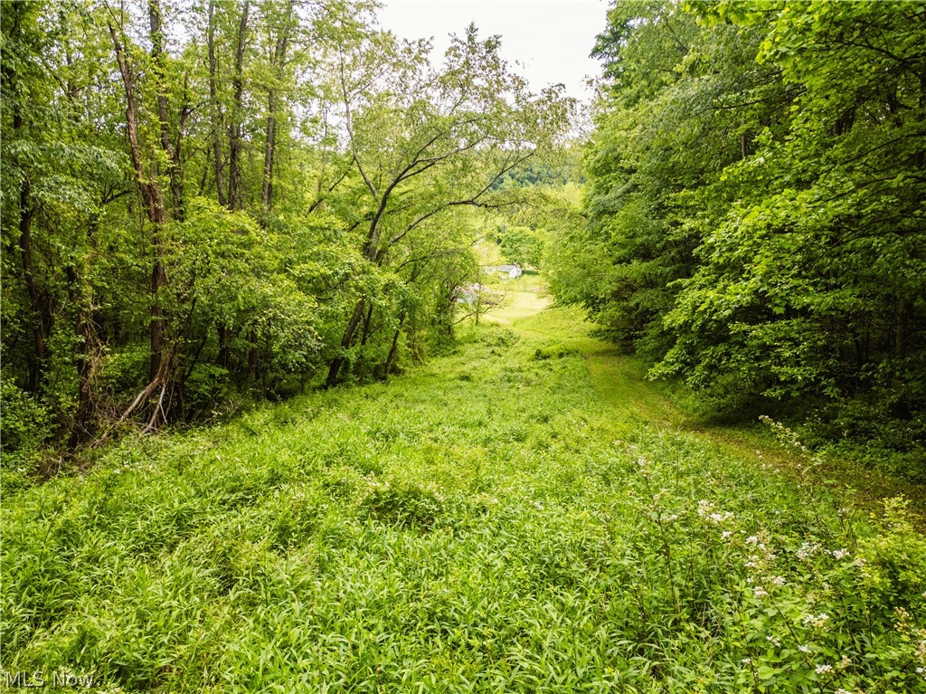 Barkley Road Property Photo 10