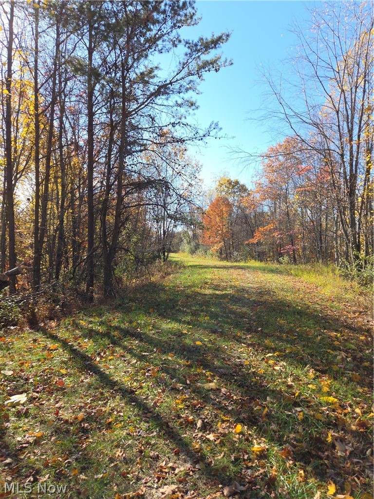 Glendale Pike Property Photo 3