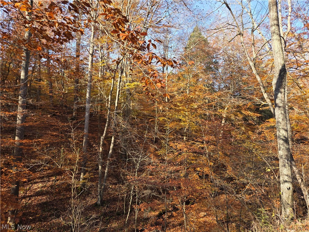 Glendale Pike Property Photo 4