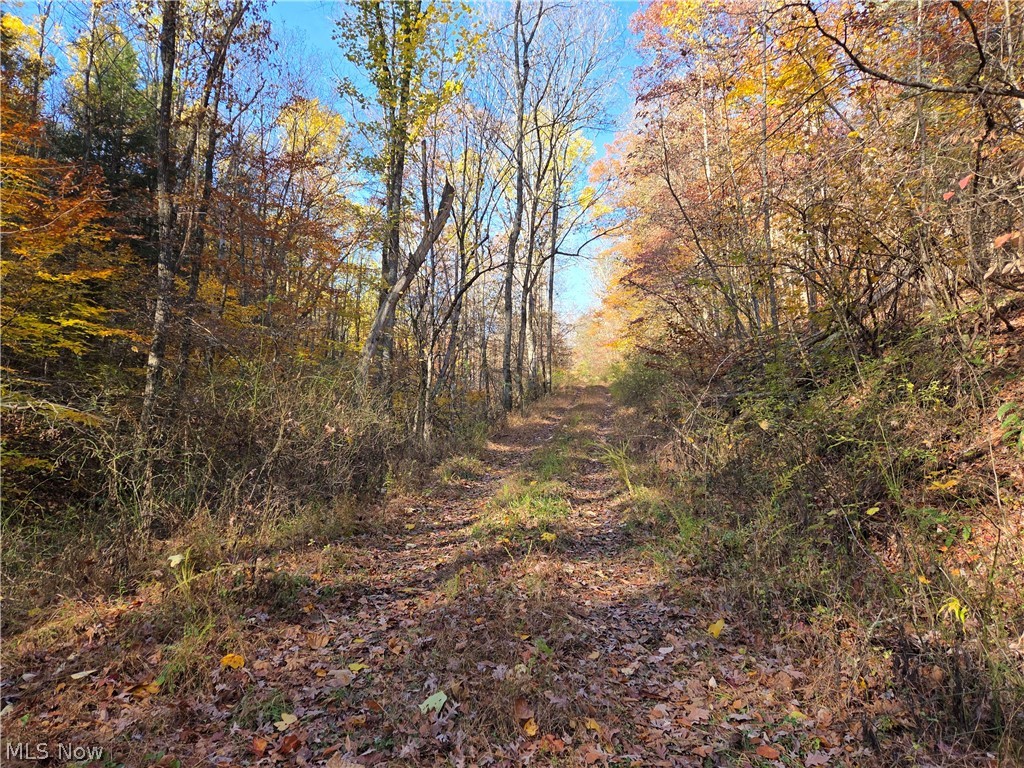 Glendale Pike Property Photo 5