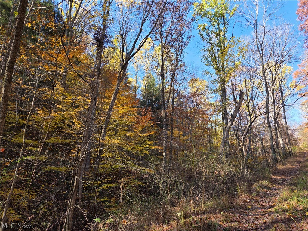 Glendale Pike Property Photo 6