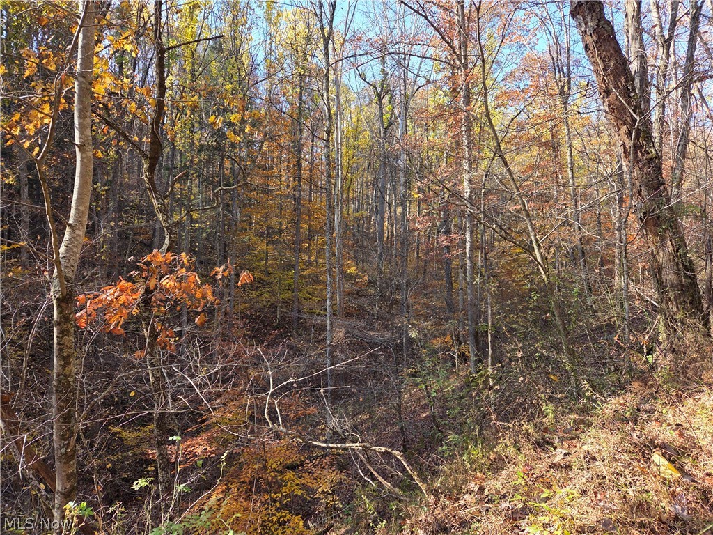 Glendale Pike Property Photo 7