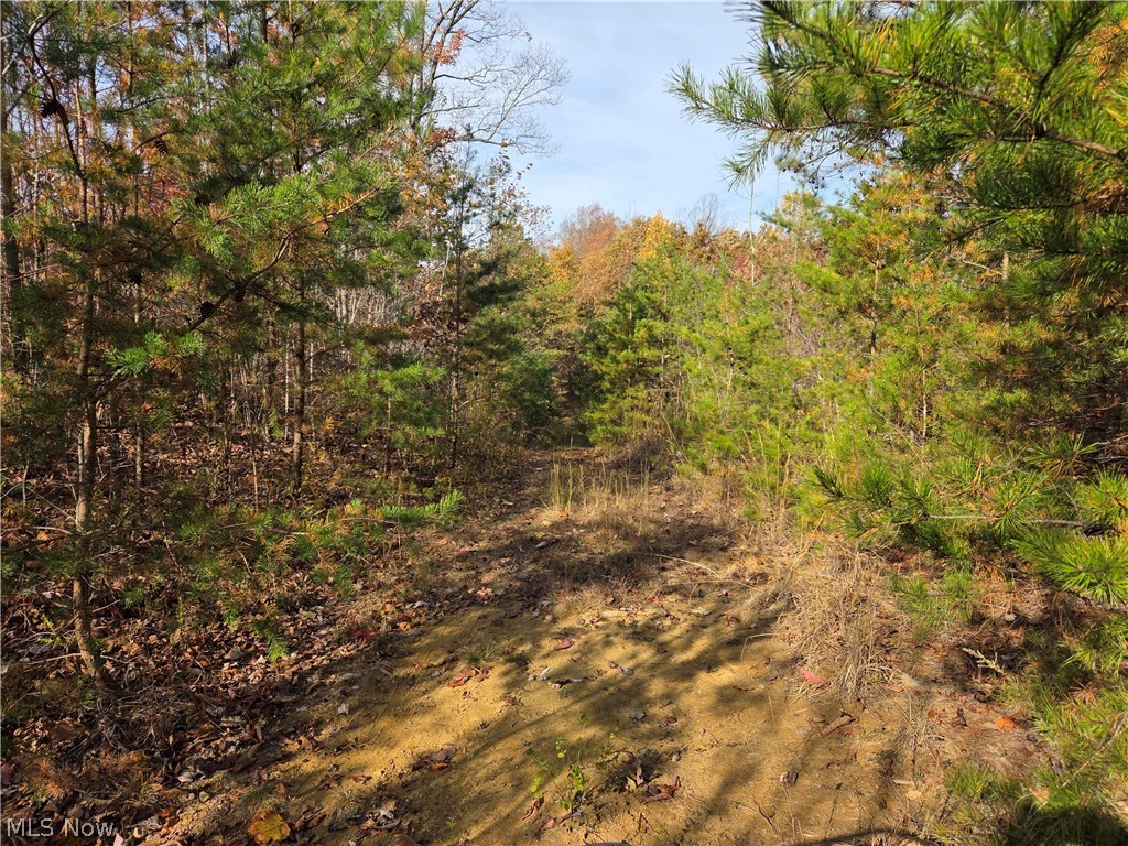 Glendale Pike Property Photo 10
