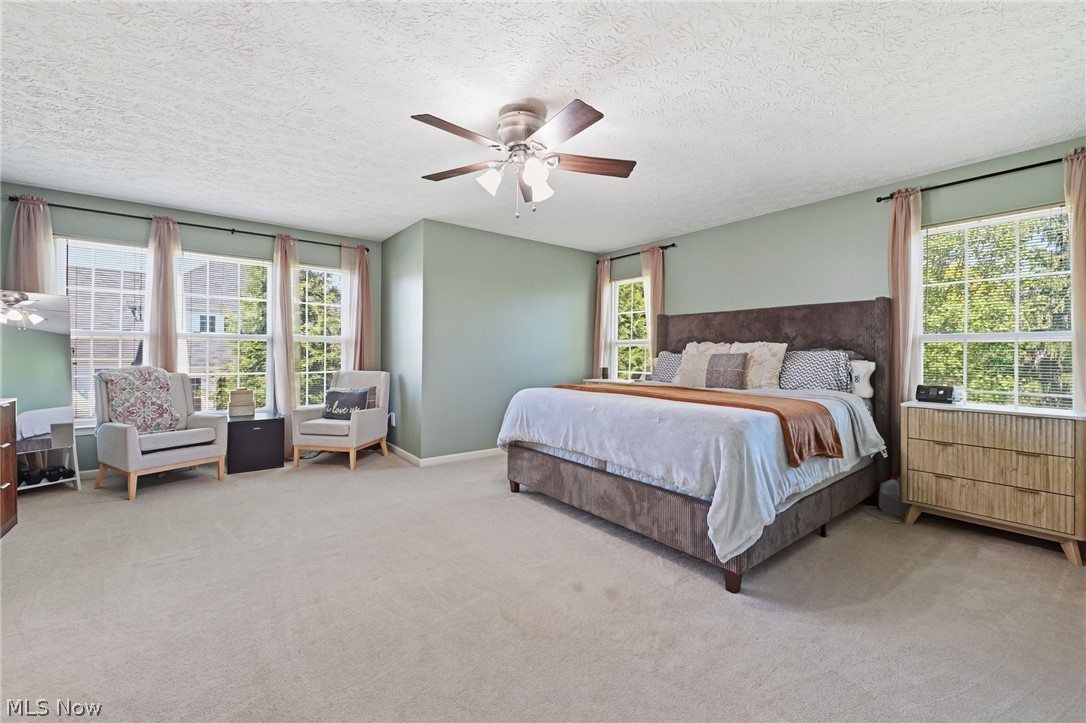 4709 Quincy Drive Property Photo 37