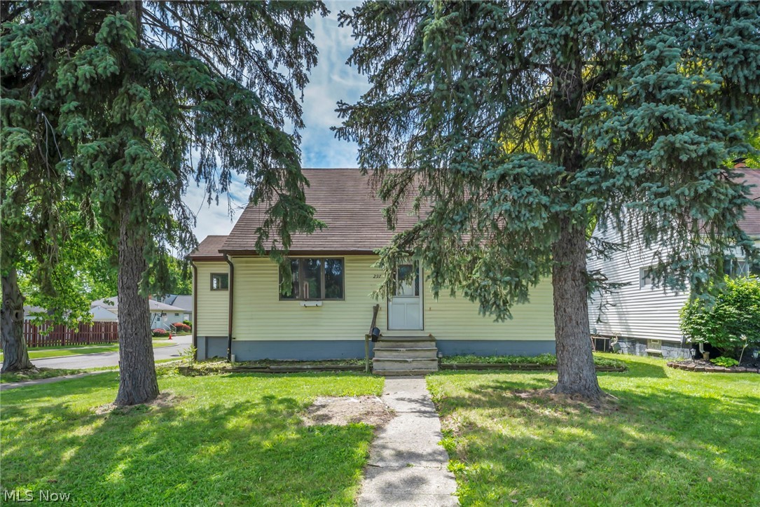 297 Paul Street Property Photo 2