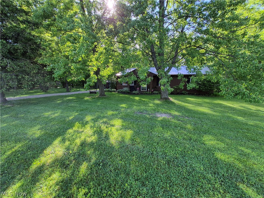 1373 Saffron Drive Property Photo 1