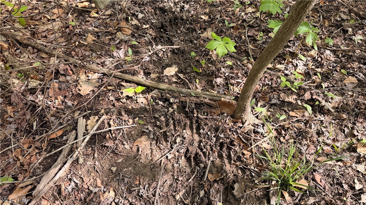 Munson Hill Road Property Photo 12
