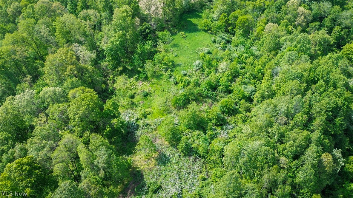 Degen Road Sw Property Photo 14