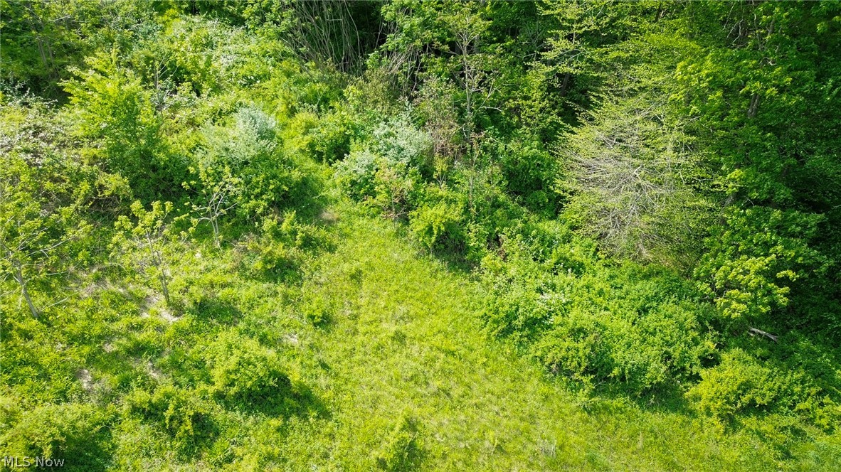 Degen Road Sw Property Photo 17