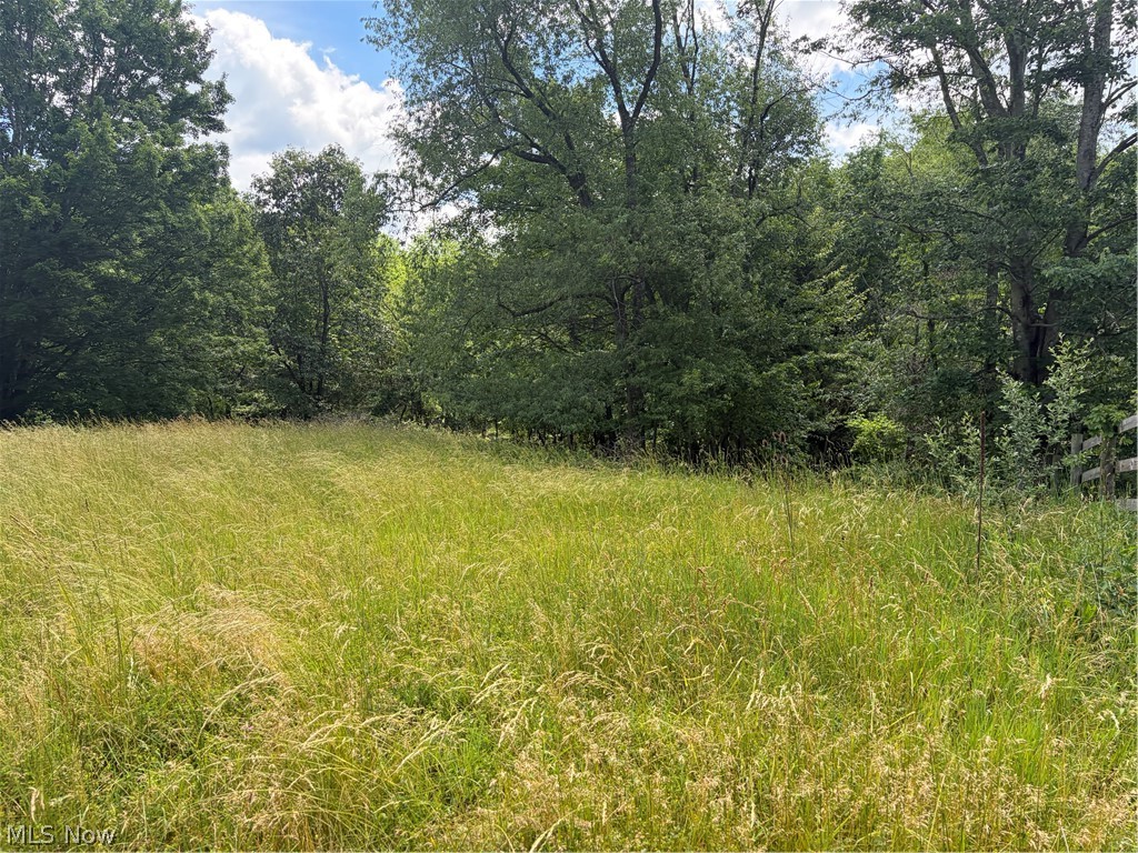 15441 Johnson Road Property Photo 1