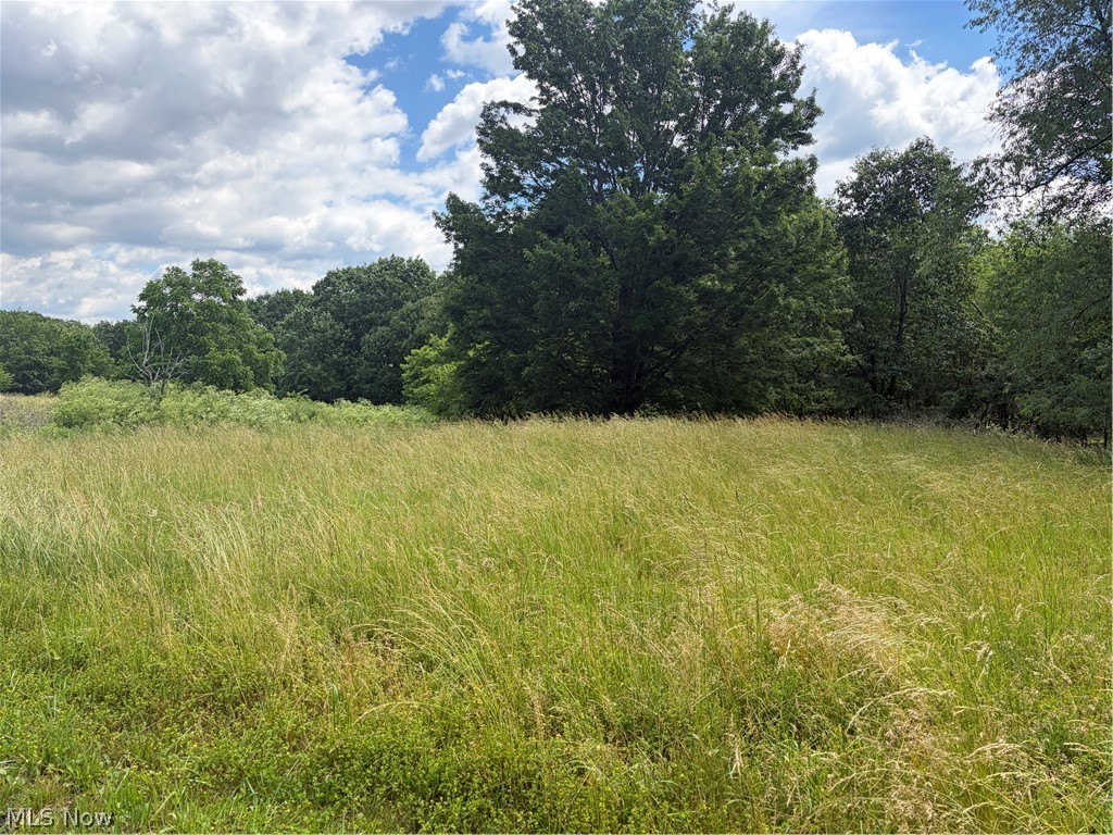 15441 Johnson Road Property Photo 6