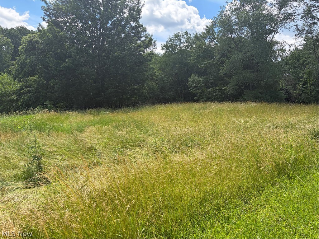 15441 Johnson Road Property Photo 7