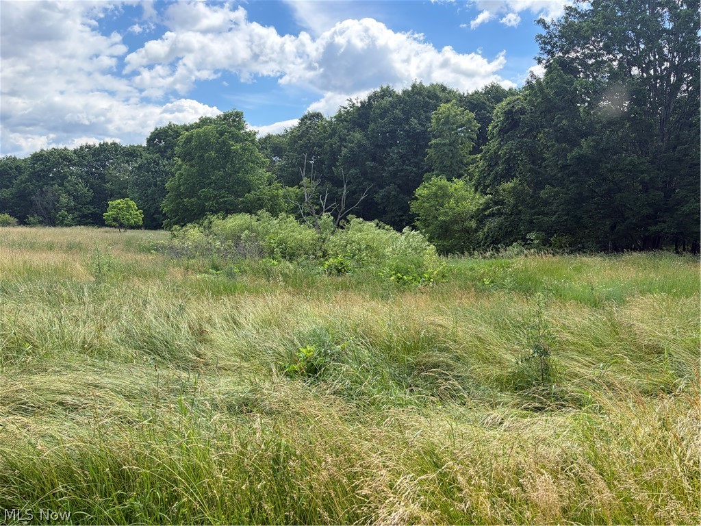15441 Johnson Road Property Photo 8