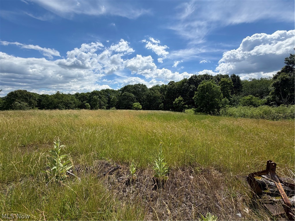 15441 Johnson Road Property Photo 9