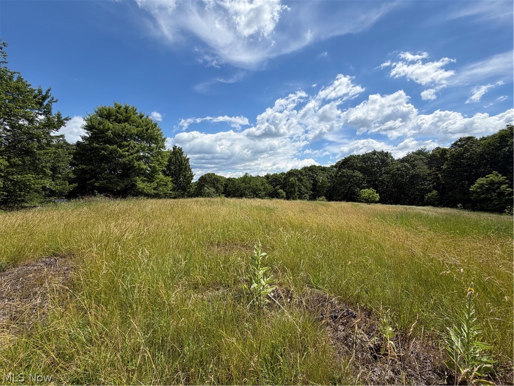 15441 Johnson Road Property Photo 10