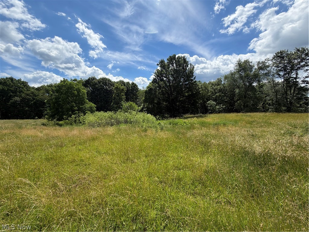 15441 Johnson Road Property Photo 12