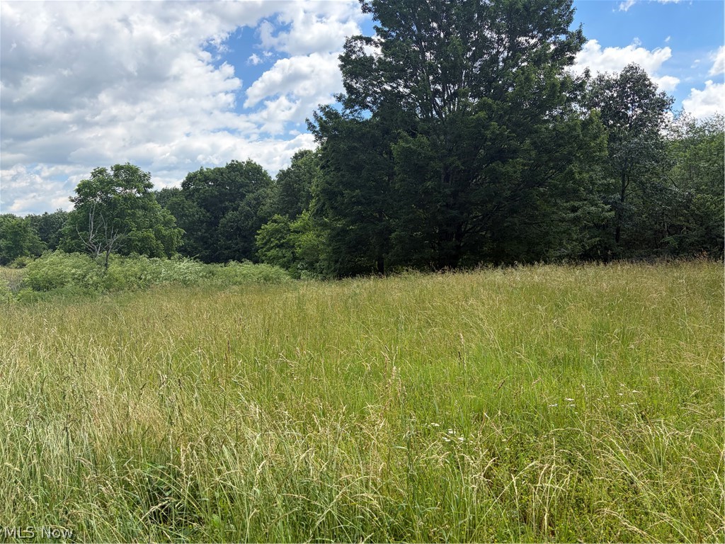 15441 Johnson Road Property Photo 13
