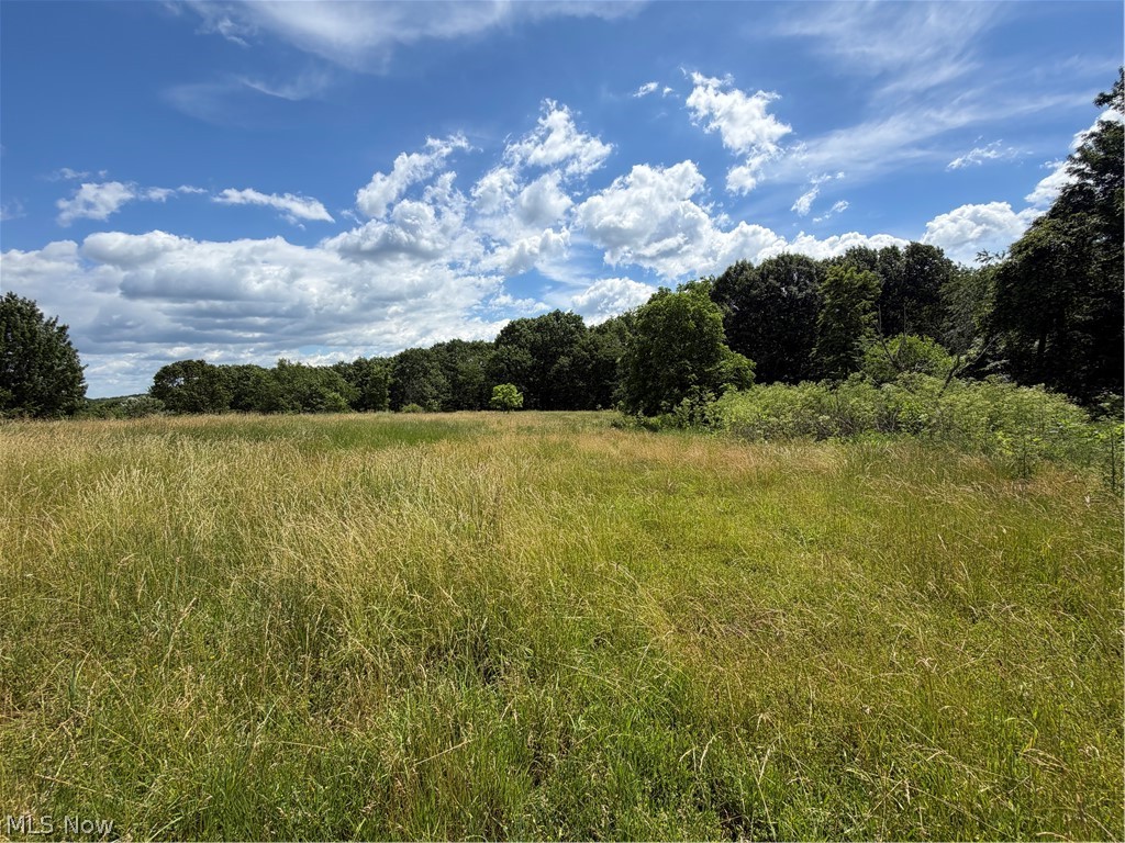 15441 Johnson Road Property Photo 14