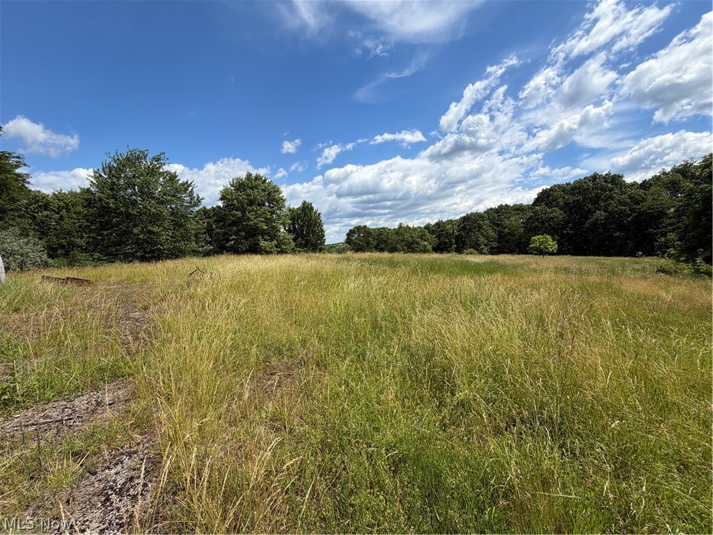 15441 Johnson Road Property Photo 15