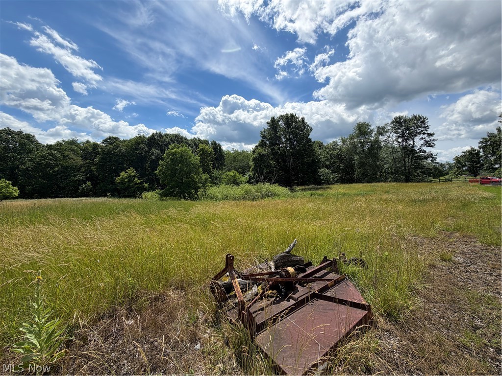 15441 Johnson Road Property Photo 29