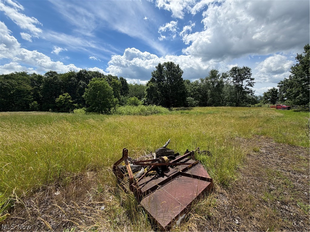 15441 Johnson Road Property Photo 30