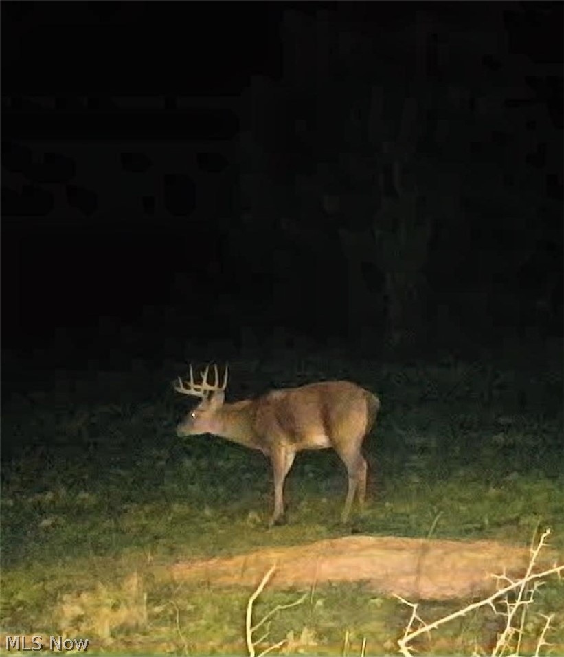 15441 Johnson Road Property Photo 40