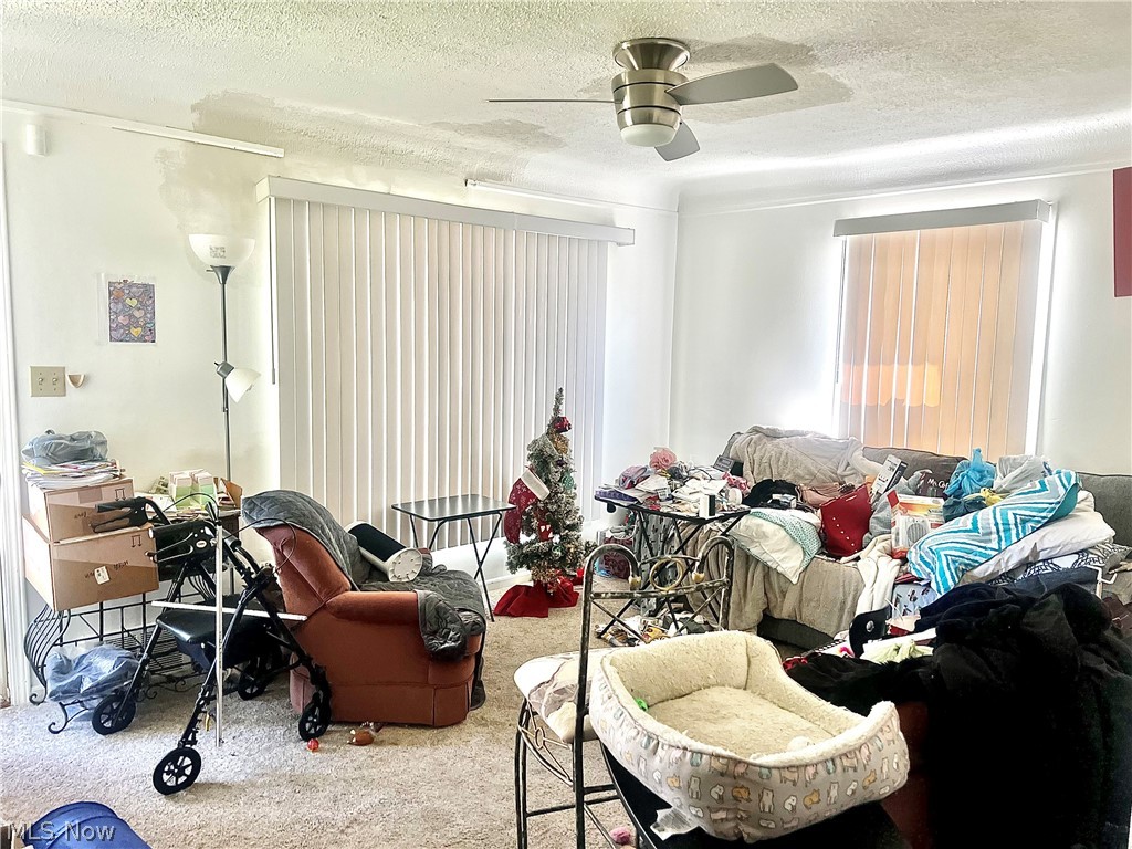 28956 Weber Avenue Property Photo 3