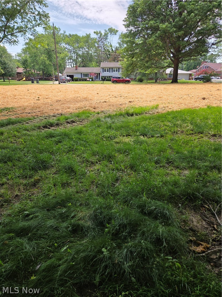 1065 Rosealee Avenue Property Photo 2