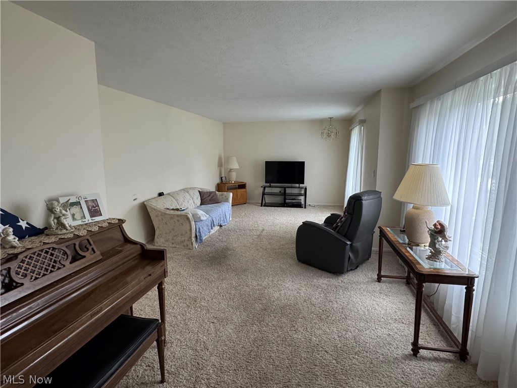 7947 Orianna Street Property Photo 4