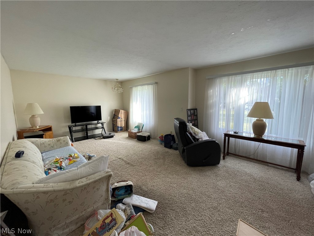 7947 Orianna Street Property Photo 5