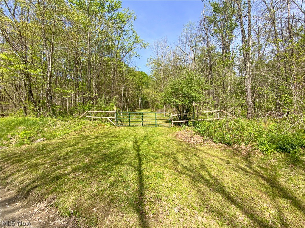 0 Brushy Hill Road Property Photo 2