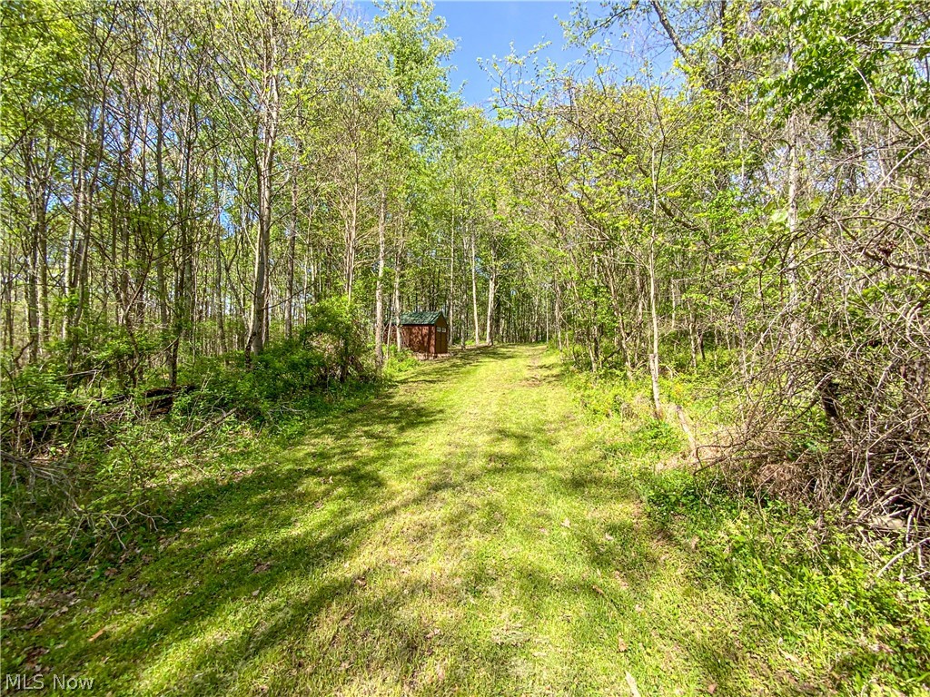 0 Brushy Hill Road Property Photo 3