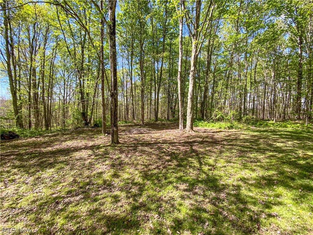0 Brushy Hill Road Property Photo 4