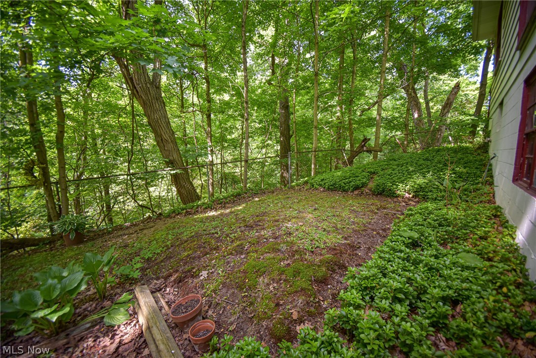 1683 Ridge Road Property Photo 38