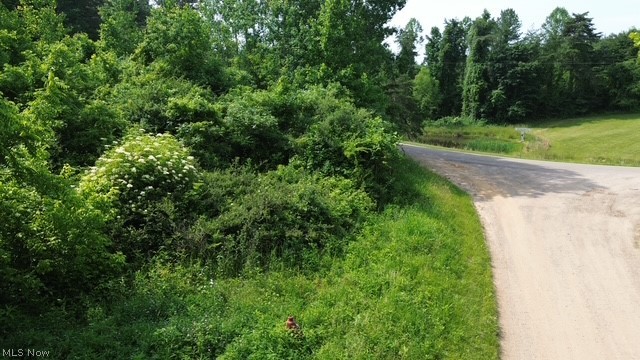 0 E Side Hayman Road Property Photo 5