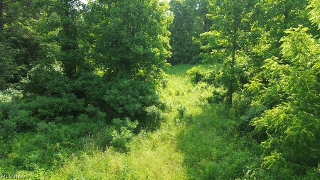 0 E Side Hayman Road Property Photo 6