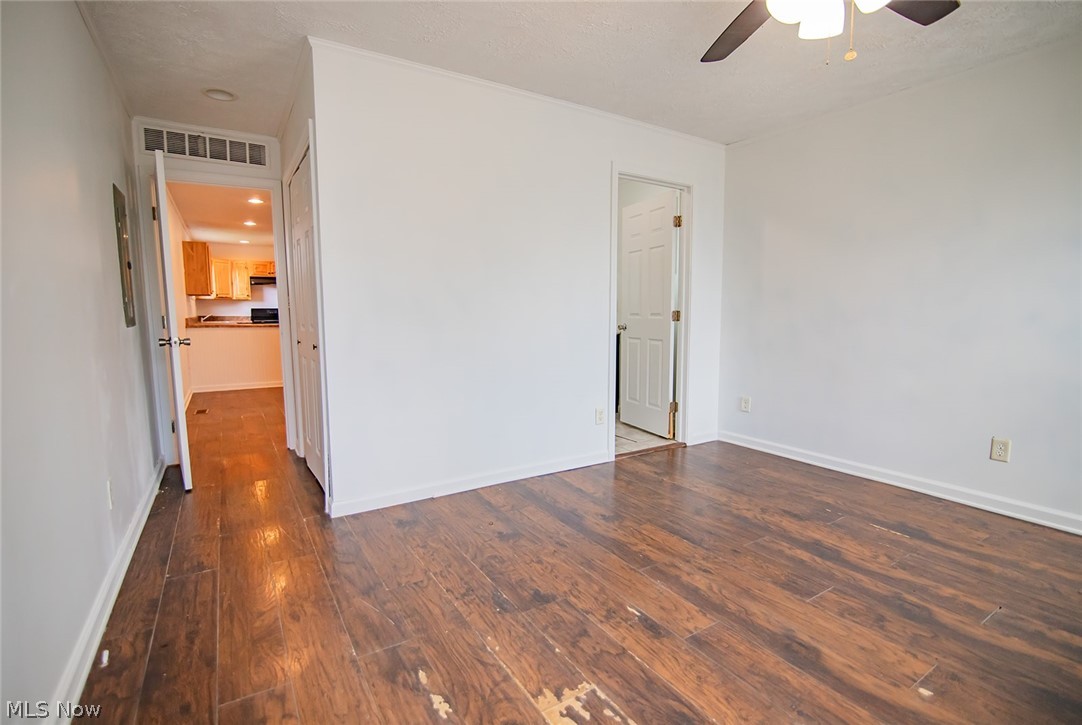 43 Thorn Street Property Photo 17
