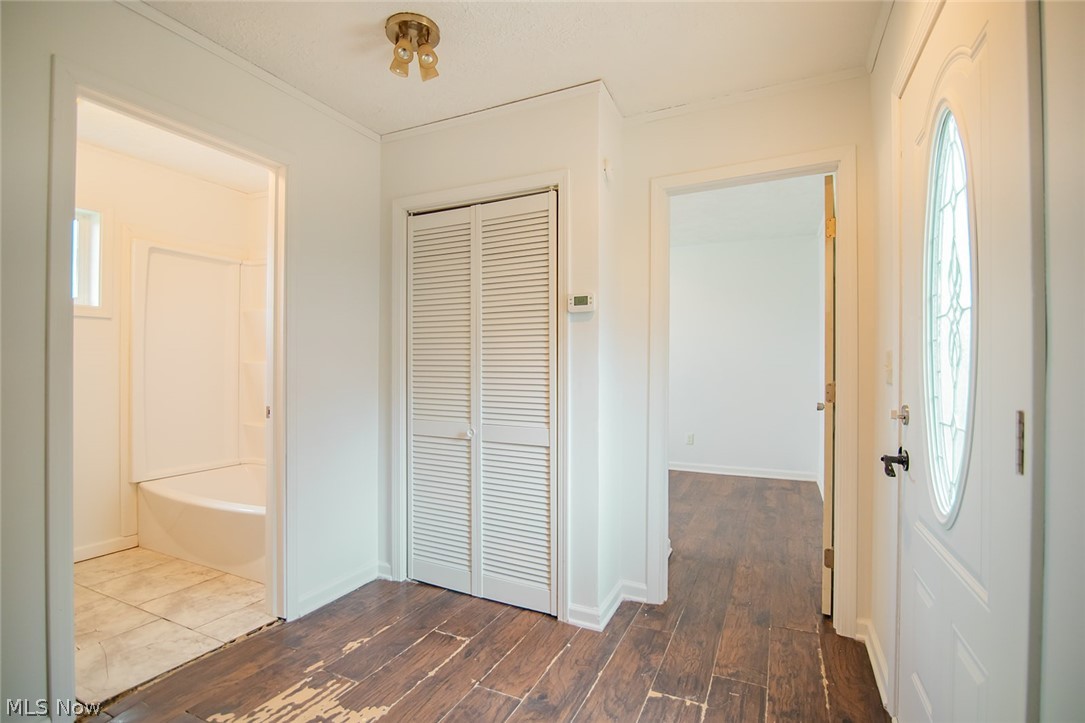 43 Thorn Street Property Photo 23