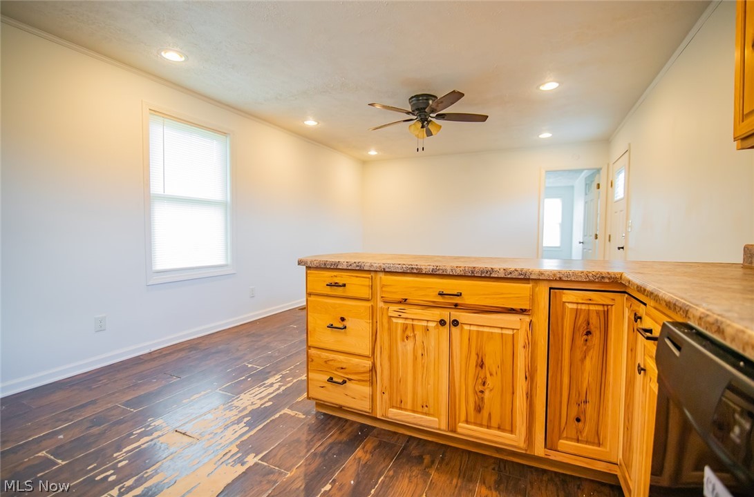 43 Thorn Street Property Photo 27