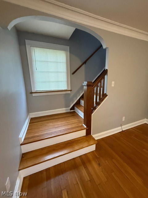 52 Meadowbrook Avenue Property Photo 7