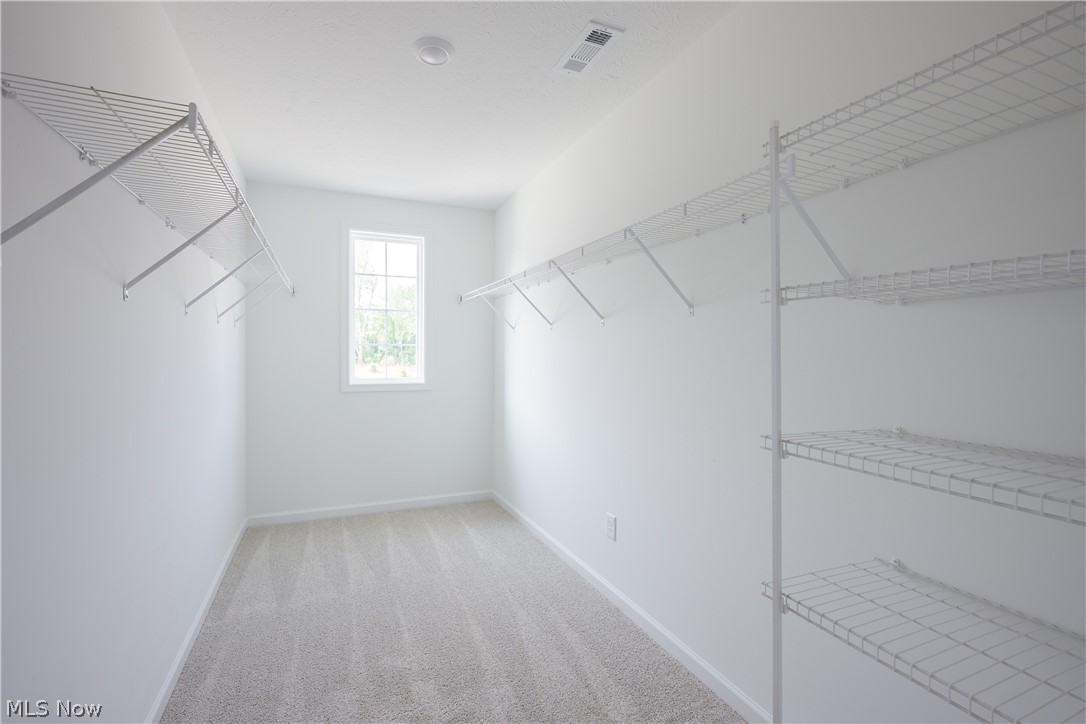 8010 Echo Hill Manor Drive Property Photo 25