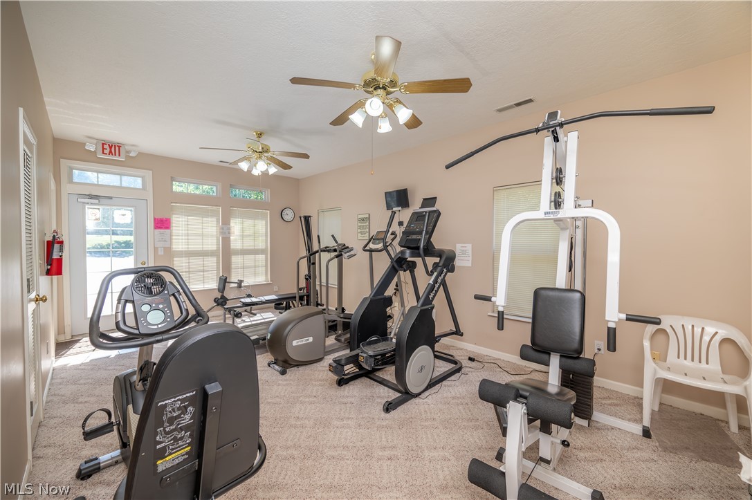 168 Wilcox Road Property Photo 41