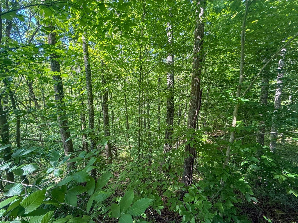 St Rt 555 Property Photo 3