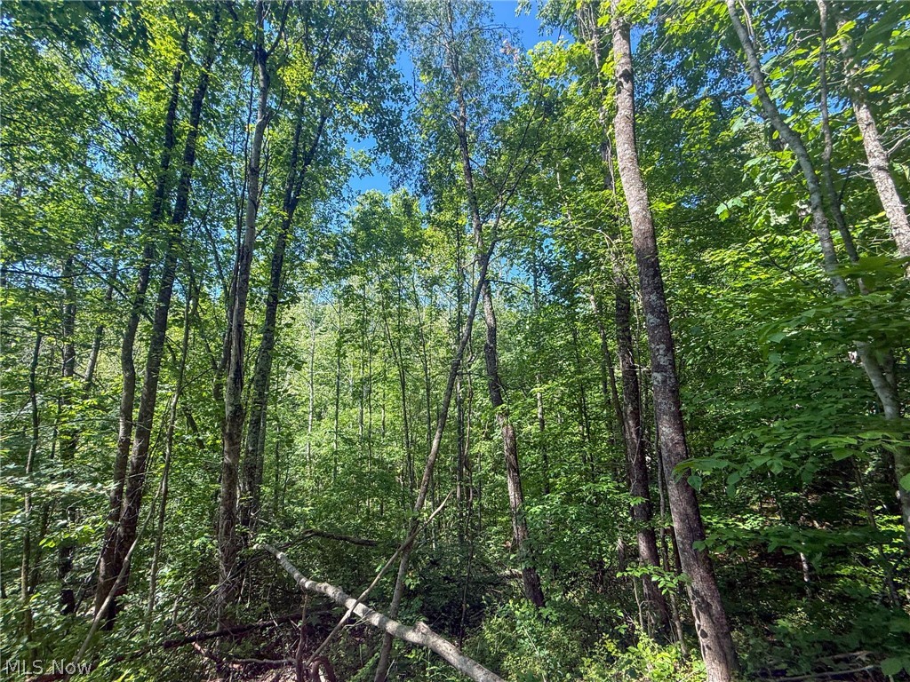 St Rt 555 Property Photo 4