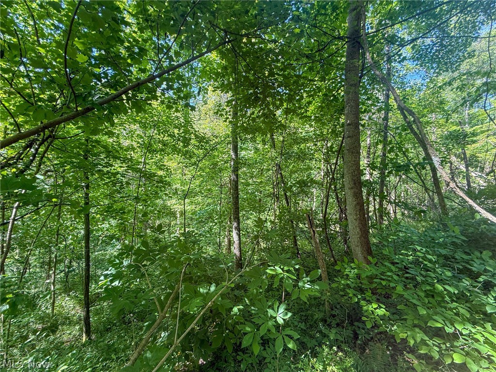 St Rt 555 Property Photo 8