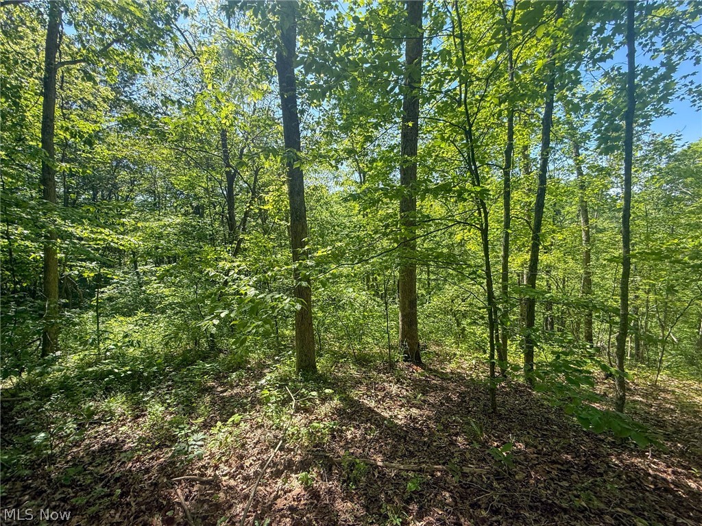 St Rt 555 Property Photo 21
